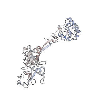 35420_8ifl_J_v1-1
Cryo-EM structure of tetrameric SPARTA gRNA-ssDNA target complex in state 1