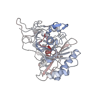 35420_8ifl_K_v1-1
Cryo-EM structure of tetrameric SPARTA gRNA-ssDNA target complex in state 1