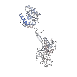 35420_8ifl_N_v1-1
Cryo-EM structure of tetrameric SPARTA gRNA-ssDNA target complex in state 1