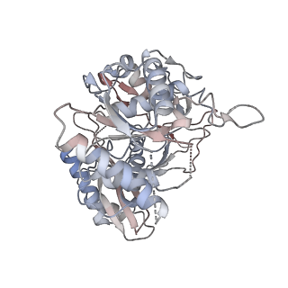 35420_8ifl_O_v1-1
Cryo-EM structure of tetrameric SPARTA gRNA-ssDNA target complex in state 1