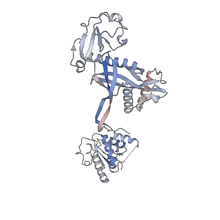 35421_8ifm_A_v1-1
Cryo-EM structure of tetrameric SPARTA gRNA-ssDNA target complex in state 2
