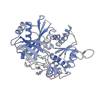 35421_8ifm_B_v1-1
Cryo-EM structure of tetrameric SPARTA gRNA-ssDNA target complex in state 2