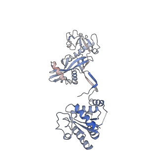 35421_8ifm_F_v1-1
Cryo-EM structure of tetrameric SPARTA gRNA-ssDNA target complex in state 2