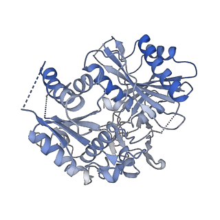 35421_8ifm_G_v1-1
Cryo-EM structure of tetrameric SPARTA gRNA-ssDNA target complex in state 2