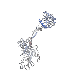 35421_8ifm_J_v1-1
Cryo-EM structure of tetrameric SPARTA gRNA-ssDNA target complex in state 2