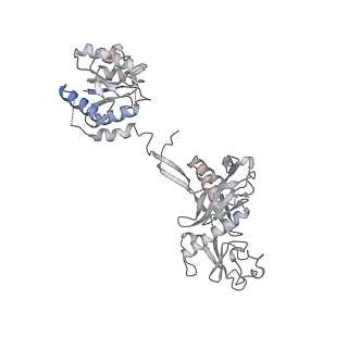 35421_8ifm_N_v1-1
Cryo-EM structure of tetrameric SPARTA gRNA-ssDNA target complex in state 2