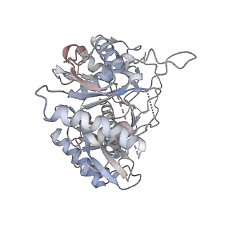35421_8ifm_O_v1-1
Cryo-EM structure of tetrameric SPARTA gRNA-ssDNA target complex in state 2