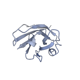 35422_8ifn_D_v1-0
MERS-CoV spike trimer in complex with nanobody VHH-T148