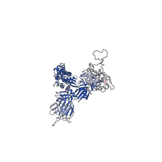 35426_8ify_C_v1-1
Cryo-EM structure of SARS-CoV-2 Omicron BA.4/5 spike protein in complex with white-tailed deer ACE2