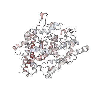35426_8ify_F_v1-1
Cryo-EM structure of SARS-CoV-2 Omicron BA.4/5 spike protein in complex with white-tailed deer ACE2