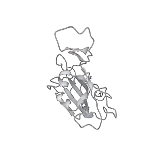 35427_8ifz_B_v1-1
Cryo-EM structure of SARS-CoV-2 Omicron BA.4/5 spike protein receptor-binding domain in complex with white-tailed deer ACE2