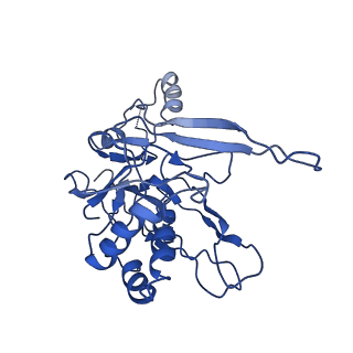 9653_6ifk_B_v1-2
Cryo-EM structure of type III-A Csm-CTR1 complex, AMPPNP bound