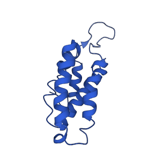 9653_6ifk_C_v1-2
Cryo-EM structure of type III-A Csm-CTR1 complex, AMPPNP bound
