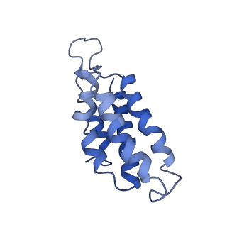 9653_6ifk_D_v1-2
Cryo-EM structure of type III-A Csm-CTR1 complex, AMPPNP bound