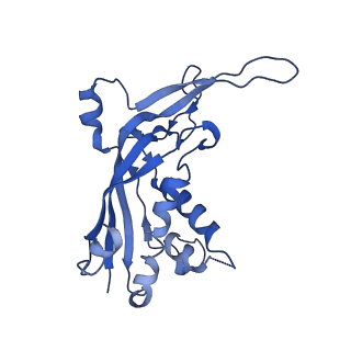 9653_6ifk_E_v1-2
Cryo-EM structure of type III-A Csm-CTR1 complex, AMPPNP bound
