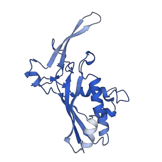 9653_6ifk_F_v1-2
Cryo-EM structure of type III-A Csm-CTR1 complex, AMPPNP bound