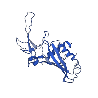 9653_6ifk_G_v1-2
Cryo-EM structure of type III-A Csm-CTR1 complex, AMPPNP bound