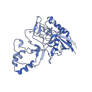 9653_6ifk_H_v1-2
Cryo-EM structure of type III-A Csm-CTR1 complex, AMPPNP bound