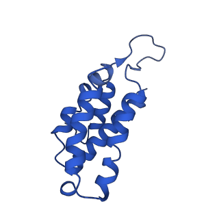 9654_6ifl_C_v1-2
Cryo-EM structure of type III-A Csm-NTR complex