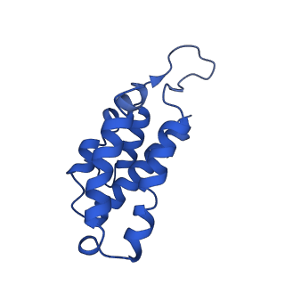 9654_6ifl_C_v1-3
Cryo-EM structure of type III-A Csm-NTR complex