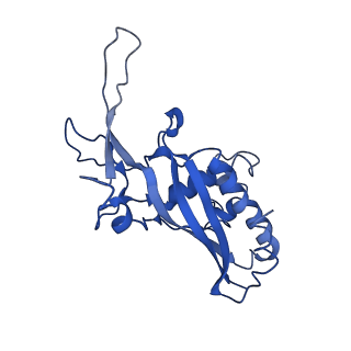 9654_6ifl_D_v1-2
Cryo-EM structure of type III-A Csm-NTR complex