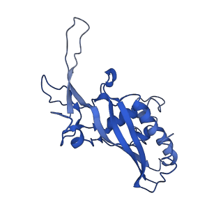 9654_6ifl_D_v1-3
Cryo-EM structure of type III-A Csm-NTR complex