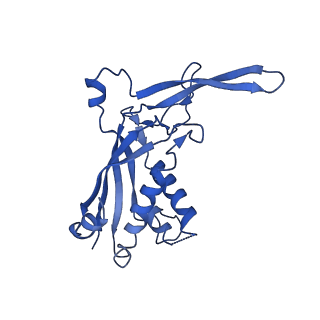 9654_6ifl_F_v1-2
Cryo-EM structure of type III-A Csm-NTR complex