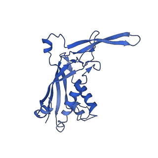 9654_6ifl_F_v1-3
Cryo-EM structure of type III-A Csm-NTR complex