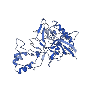9654_6ifl_H_v1-3
Cryo-EM structure of type III-A Csm-NTR complex