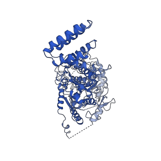 9656_6ifr_A_v1-2
Type III-A Csm complex, Cryo-EM structure of Csm-NTR, ATP bound