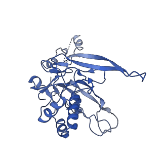 9656_6ifr_B_v1-2
Type III-A Csm complex, Cryo-EM structure of Csm-NTR, ATP bound
