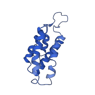 9656_6ifr_C_v1-2
Type III-A Csm complex, Cryo-EM structure of Csm-NTR, ATP bound