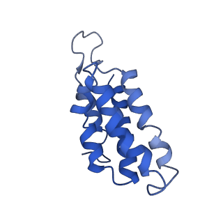 9656_6ifr_D_v1-2
Type III-A Csm complex, Cryo-EM structure of Csm-NTR, ATP bound