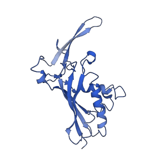 9656_6ifr_F_v1-2
Type III-A Csm complex, Cryo-EM structure of Csm-NTR, ATP bound