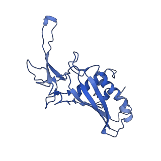 9656_6ifr_G_v1-2
Type III-A Csm complex, Cryo-EM structure of Csm-NTR, ATP bound