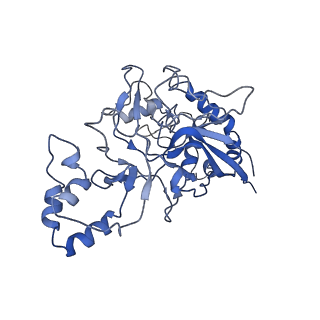 9656_6ifr_H_v1-2
Type III-A Csm complex, Cryo-EM structure of Csm-NTR, ATP bound
