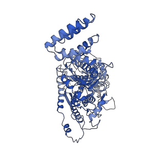 9657_6ifu_A_v1-3
Cryo-EM structure of type III-A Csm-CTR2-dsDNA complex