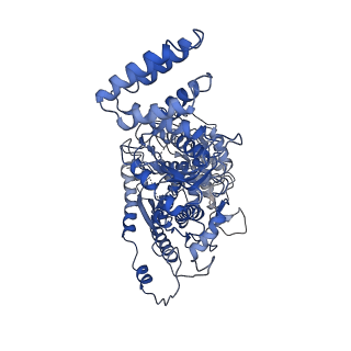 9657_6ifu_A_v1-4
Cryo-EM structure of type III-A Csm-CTR2-dsDNA complex