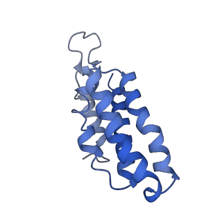 9657_6ifu_B_v1-3
Cryo-EM structure of type III-A Csm-CTR2-dsDNA complex
