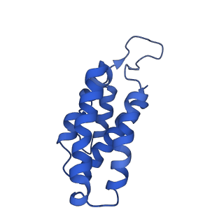 9657_6ifu_C_v1-3
Cryo-EM structure of type III-A Csm-CTR2-dsDNA complex