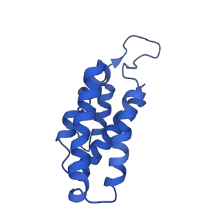 9657_6ifu_C_v1-4
Cryo-EM structure of type III-A Csm-CTR2-dsDNA complex