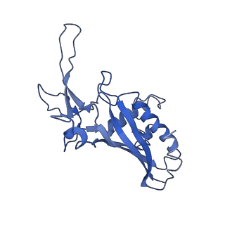 9657_6ifu_D_v1-3
Cryo-EM structure of type III-A Csm-CTR2-dsDNA complex