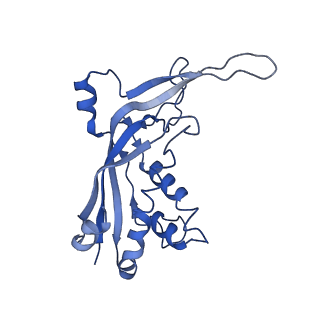 9657_6ifu_F_v1-3
Cryo-EM structure of type III-A Csm-CTR2-dsDNA complex