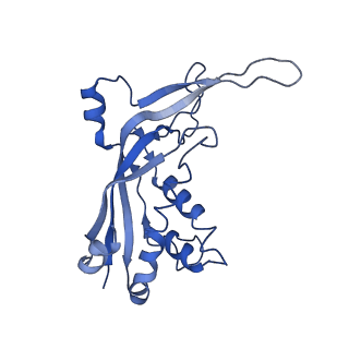 9657_6ifu_F_v1-4
Cryo-EM structure of type III-A Csm-CTR2-dsDNA complex