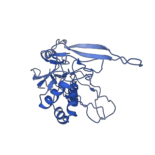 9657_6ifu_G_v1-4
Cryo-EM structure of type III-A Csm-CTR2-dsDNA complex