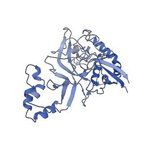 9657_6ifu_H_v1-3
Cryo-EM structure of type III-A Csm-CTR2-dsDNA complex