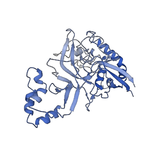 9657_6ifu_H_v1-4
Cryo-EM structure of type III-A Csm-CTR2-dsDNA complex