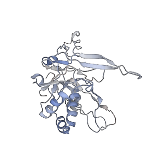 9658_6ify_B_v1-2
Type III-A Csm complex, Cryo-EM structure of Csm-CTR1