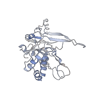 9658_6ify_B_v1-3
Type III-A Csm complex, Cryo-EM structure of Csm-CTR1