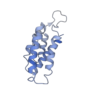 9658_6ify_C_v1-2
Type III-A Csm complex, Cryo-EM structure of Csm-CTR1